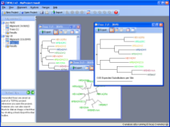 TOPALi Screenshot
